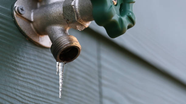 Best Commercial Plumbing Services  in Llender, CA